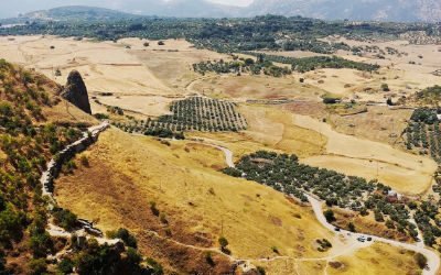 Spain Regional Guides – For Foodies!