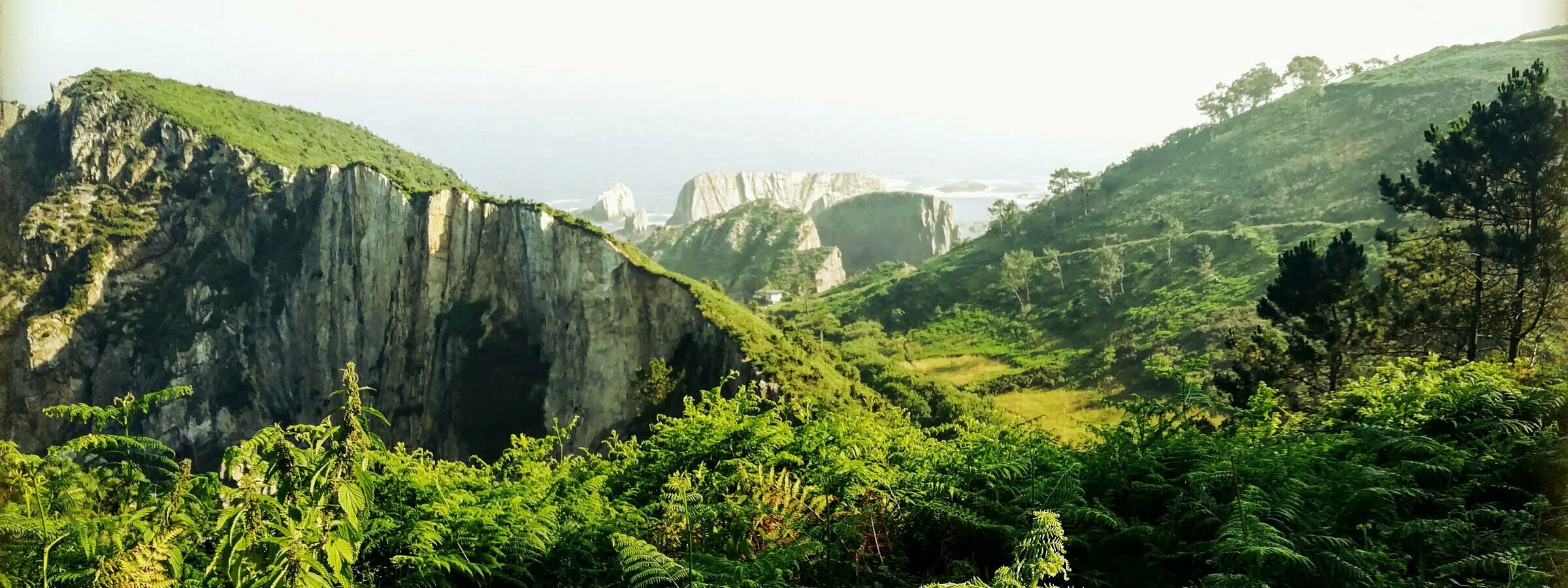A lush landscape of asturias with a cascading forrest and large cliffs in the background