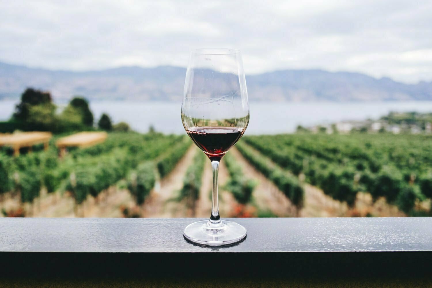 A glass of red wine sits on a counter with a view of a vineyard in the background