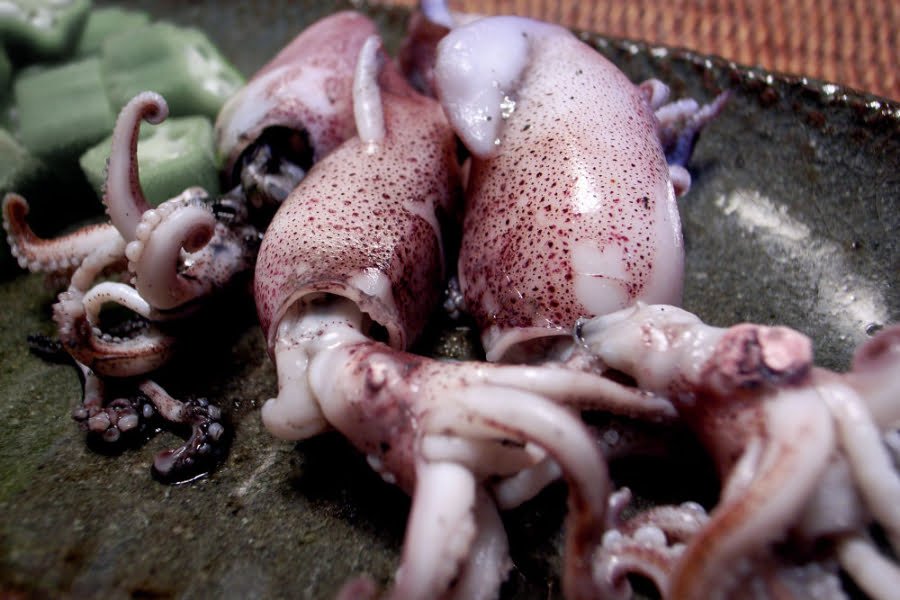 Squid ink pasta with baby squid - The Spanish Radish