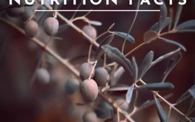 Olive oil nutrition facts and how it can benefit your health