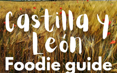 Castilla y León Foodie Guide