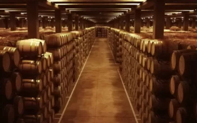 La Rioja Foodie Guide (Wines, pinchos, and more)