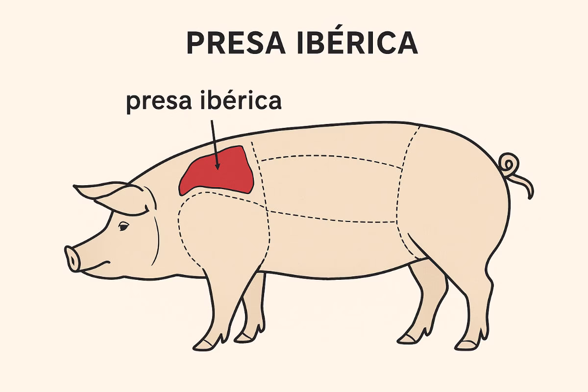A diagram of the Iberico pig, showing where the Presa cut of meat comes from