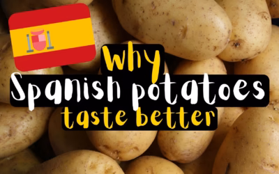 Why Spanish Potatoes Taste Better: My Favorite Dishes to Make at Home