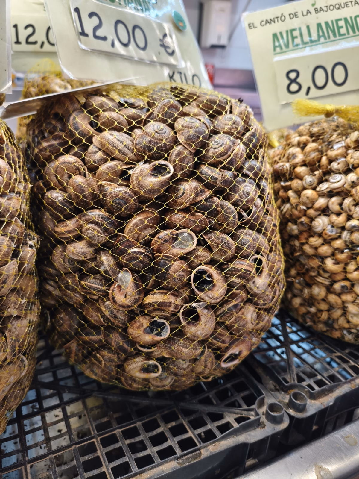 A large bag of Valencian snails.