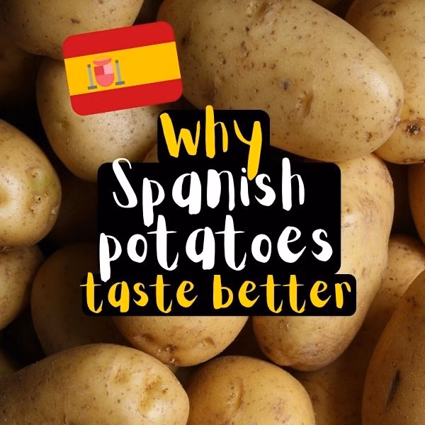 Spanishpotatoes Why Spanish potatoes taste better