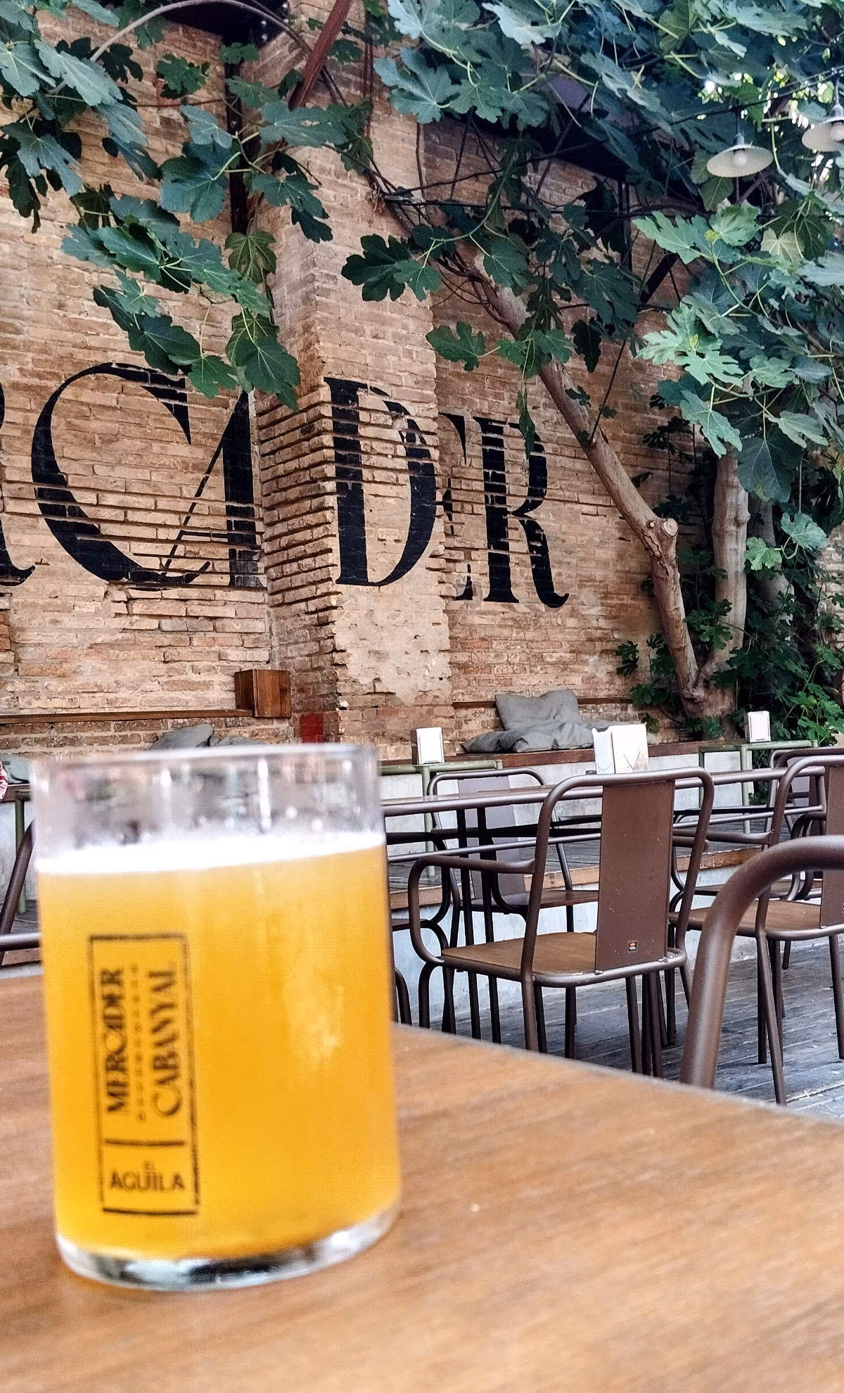 A cold beer in a lush green terrace of the Mercader