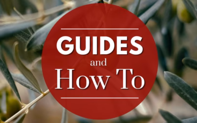 Guides and How To